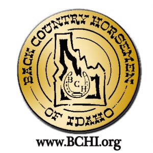 BCHI Logo