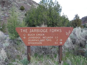 Jarbidge Forks