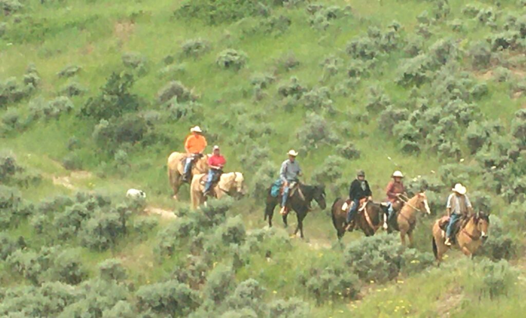 On Grouse Creek Trail