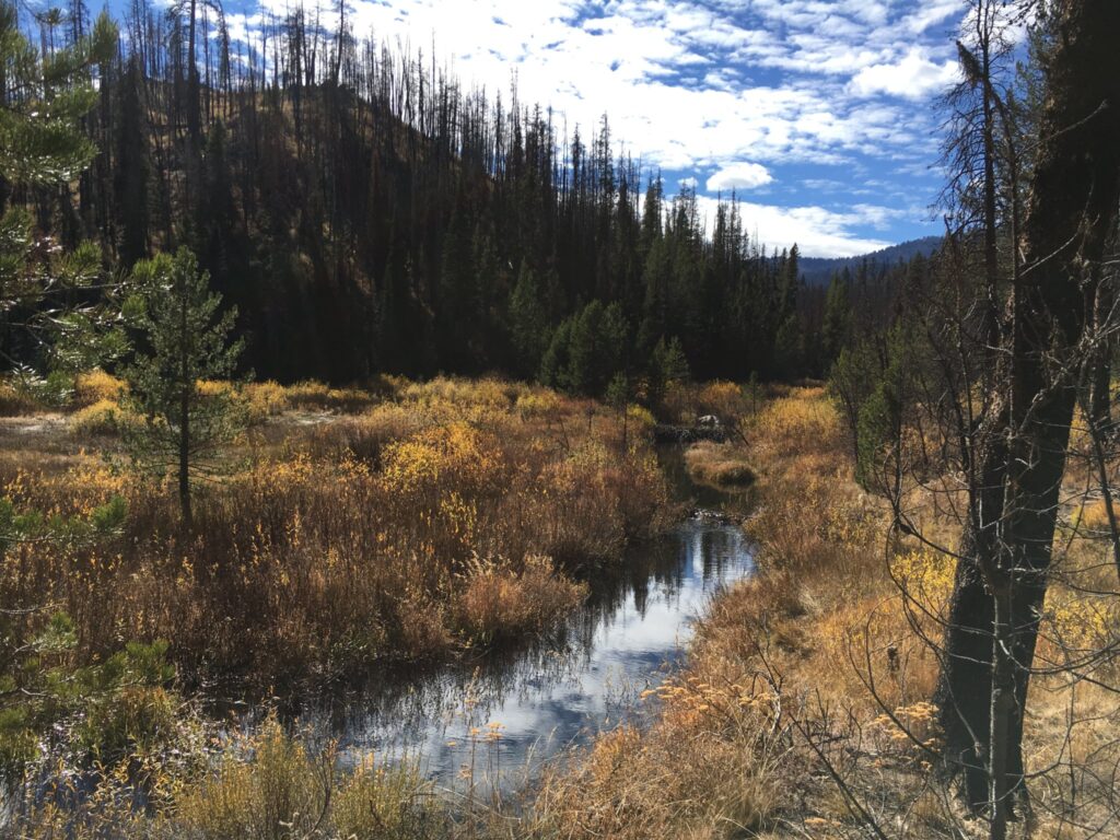 Beaver Creek