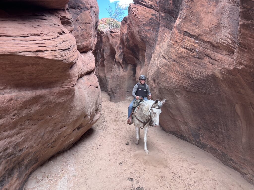 Upper Buckskin to Wire Pass