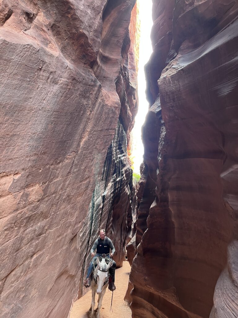 Upper Buckskin to Wire Pass