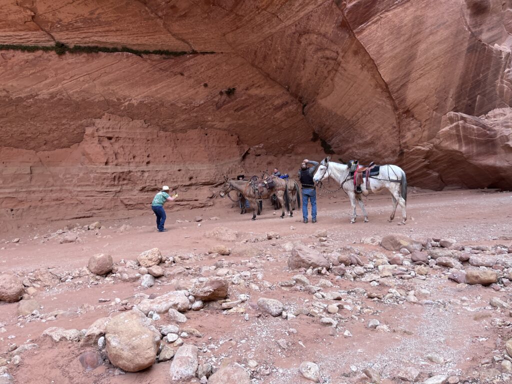 Upper Buckskin to Wire Pass