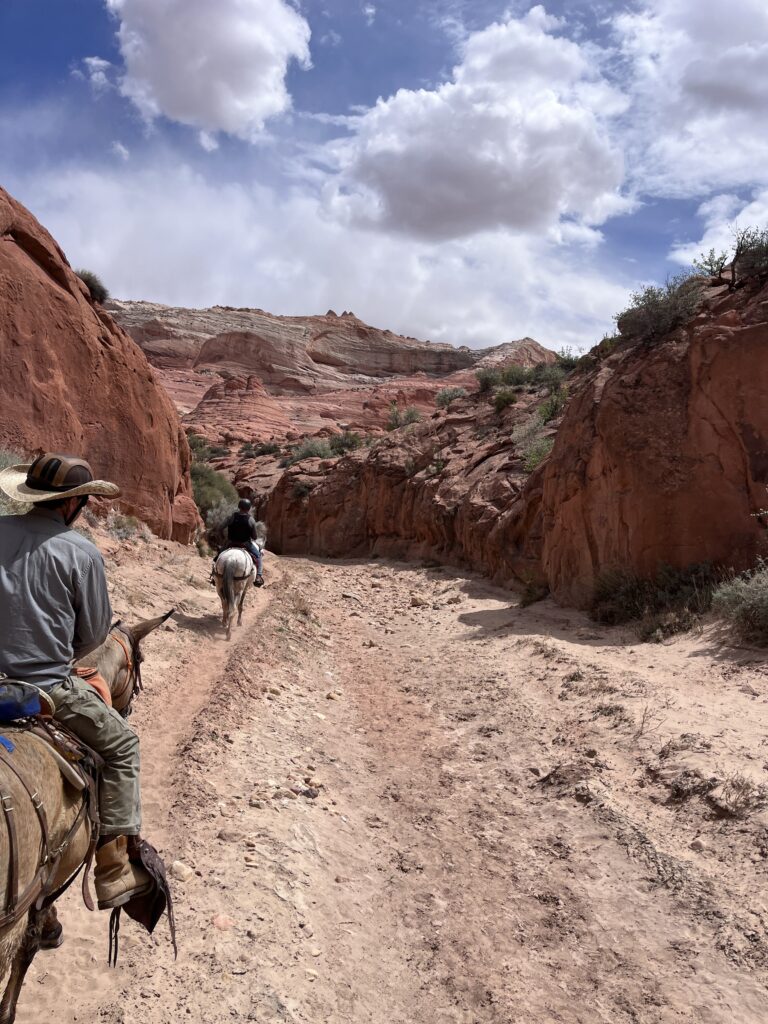 Upper Buckskin to Wire Pass