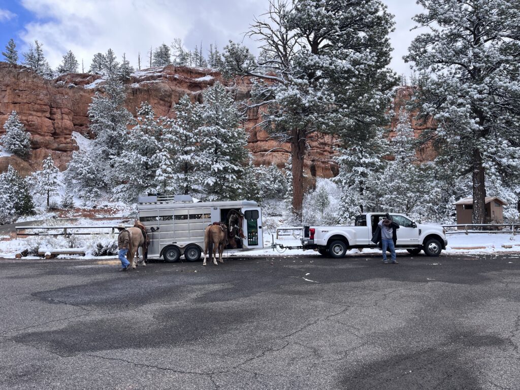 Red Canyon