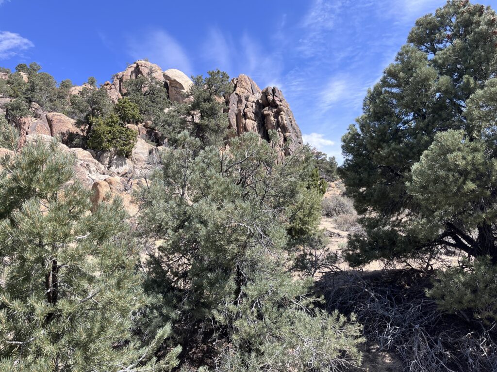 Belmont, Nv.
