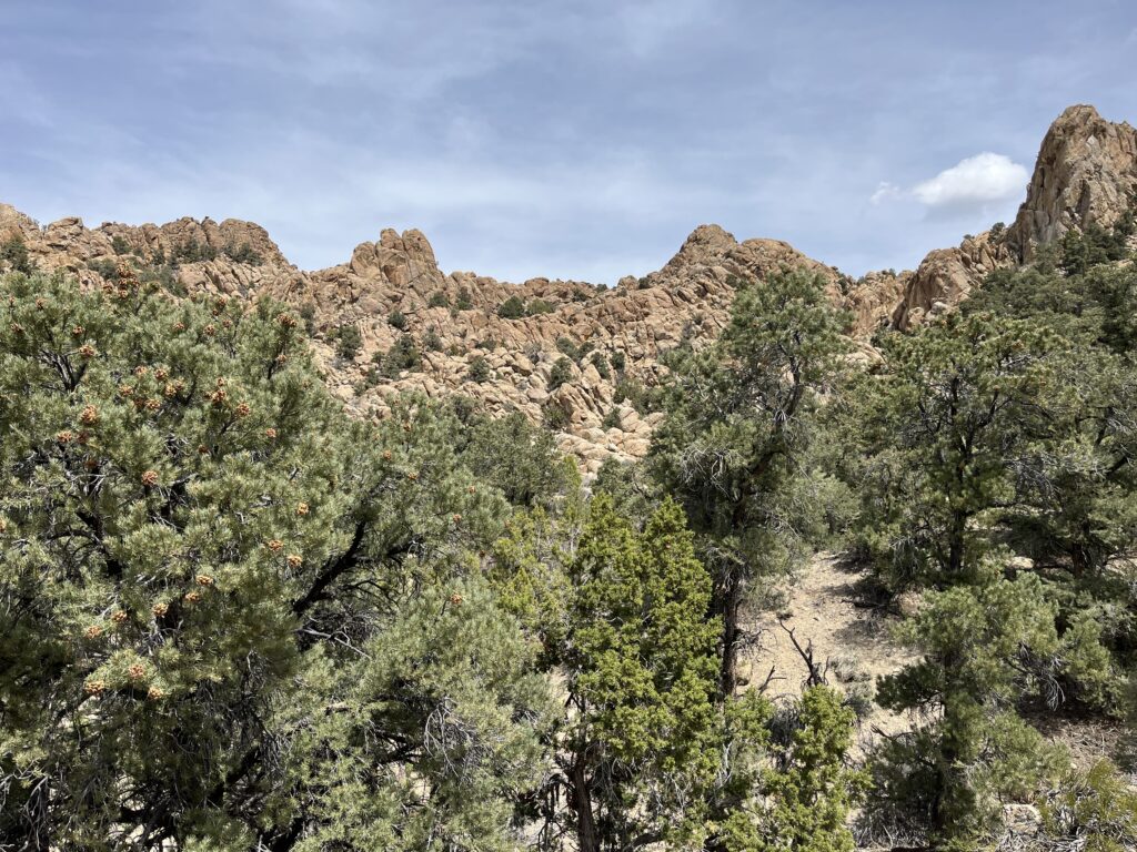Belmont, Nv.