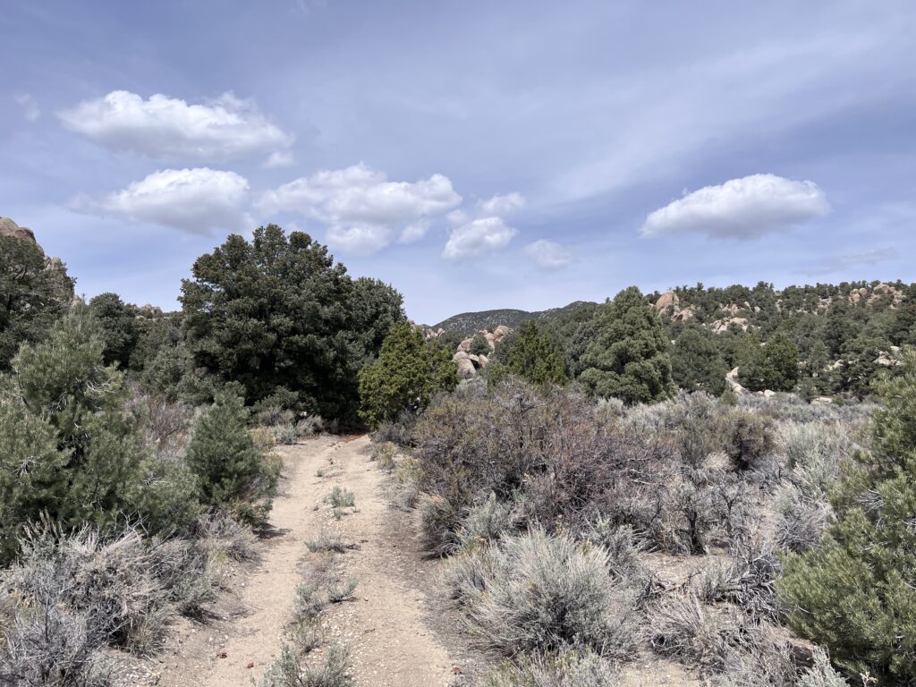 Belmont, Nv.