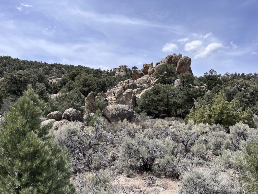 Belmont, Nv.