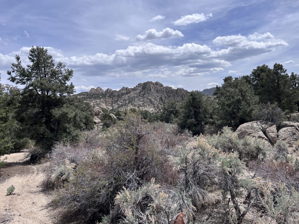 Belmont, Nv.