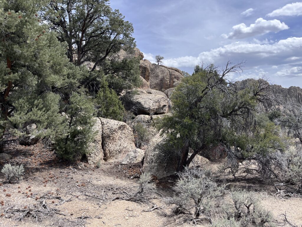 Belmont, Nv.