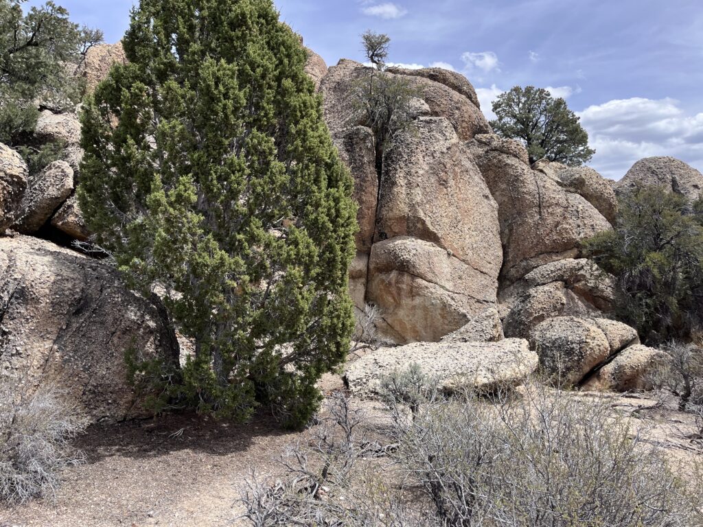 Belmont, Nv.