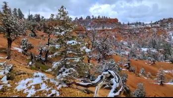 Red Canyon