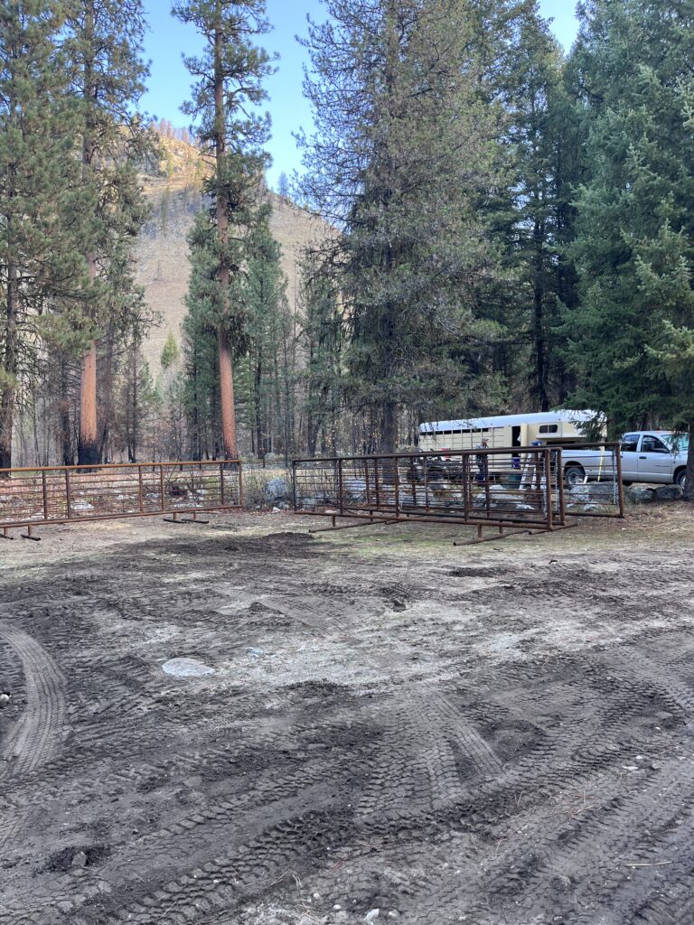 Corral Staging area