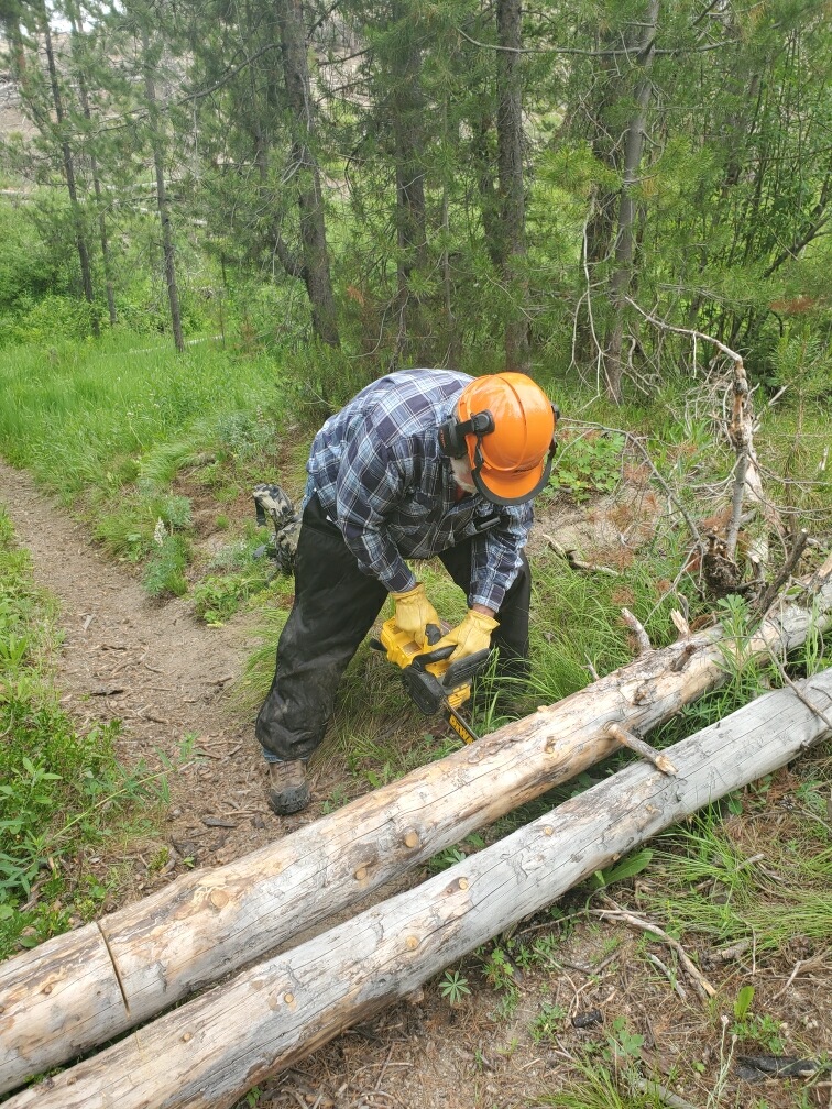 Clearing Trail