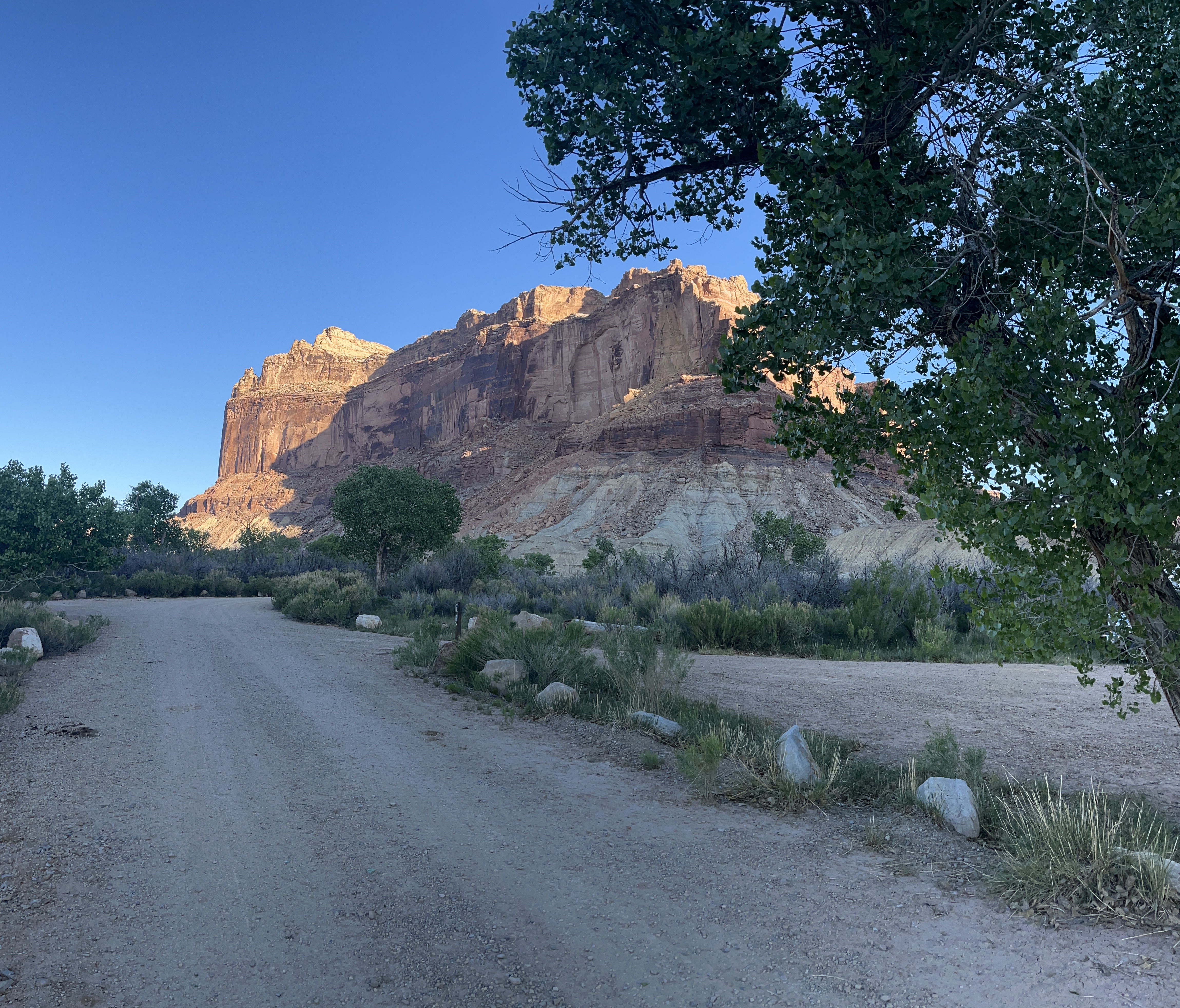 Campground view