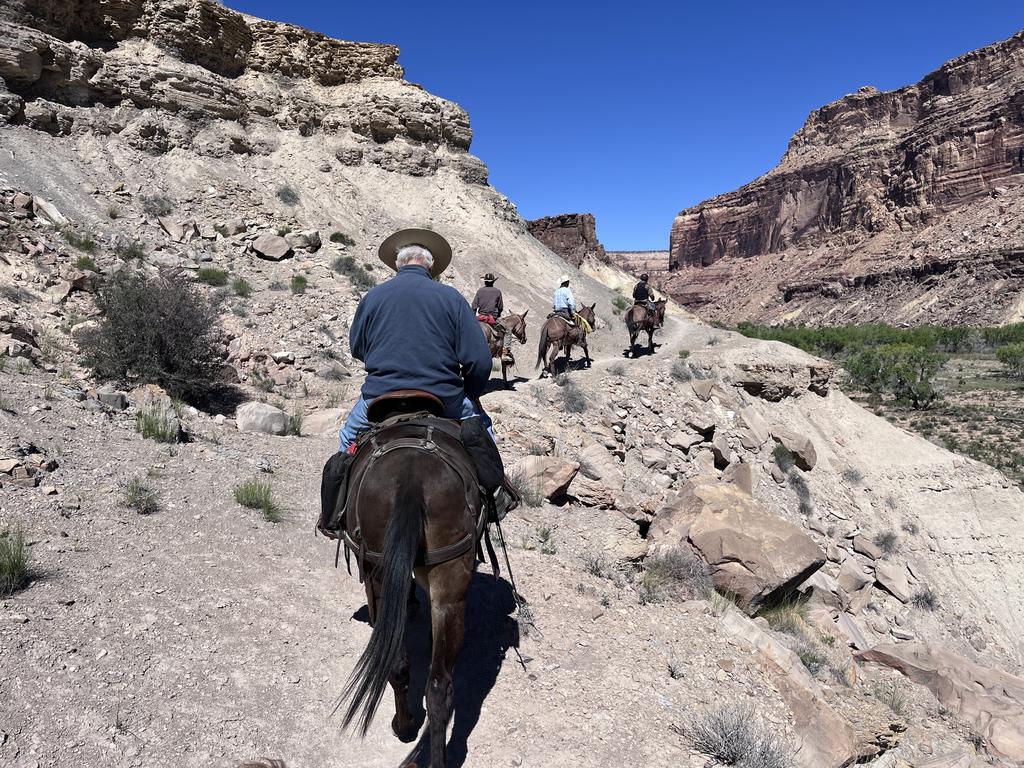 Up the canyon